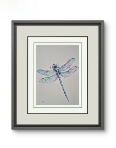 Dragonfly 