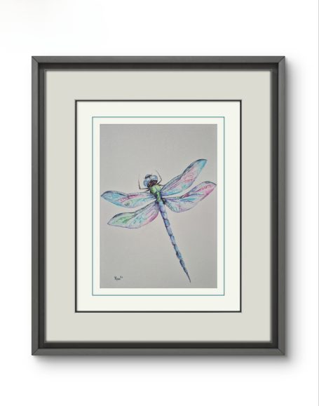 Dragonfly Dragonfly