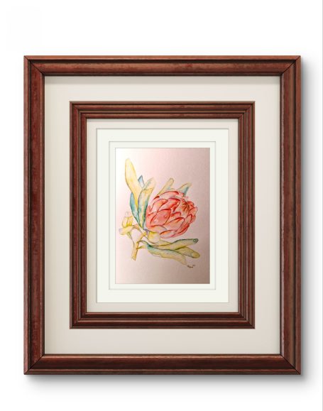 Suikerbossie (Sugar Bush) Suikerbossie (Sugar Bush)